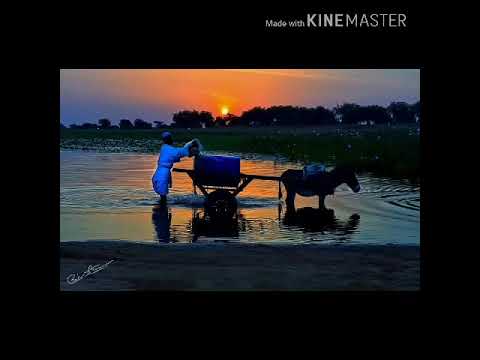 محمود تاور لما شفتك