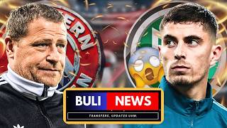 EBERL über BAYERN-TRANSFERS | HAVERTZ WM SCHOCK | BVB SANCHO ZWEIFEL | BuliNews