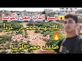 السر الذي جعل الكوسا تكبر بهذا الحجم في غزة السر الزراعي الذي ضاعف حجم الكوسا 