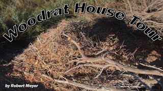 Woodrat House Tour