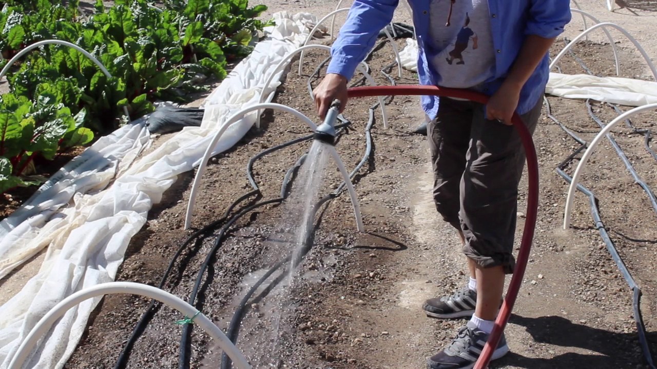 Food Conspiracy Coop Garden YouTube