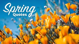 Happy Spring Quotes | Words For The Soul