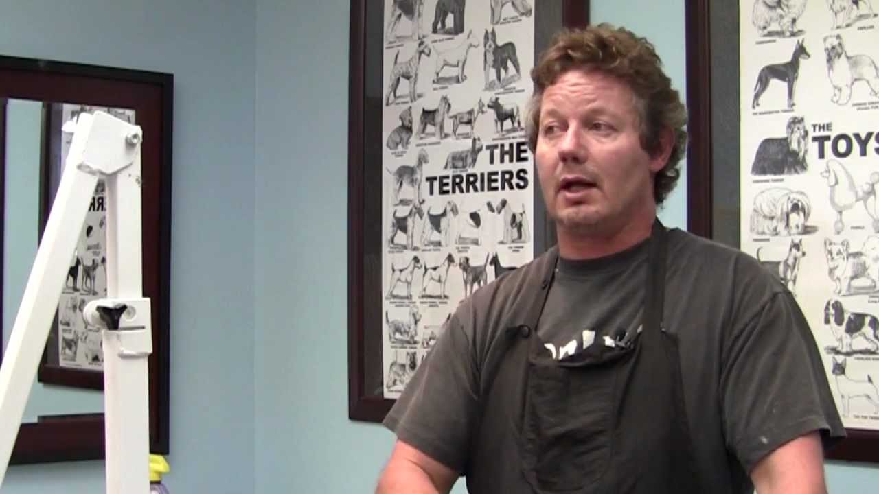 Dog Grooming School Educational Requirements Chicago Illinois Dog