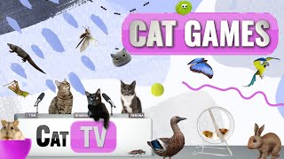 CAT Games | Ultimate Cat TV Compilation Vol 22 | 2 HOURS