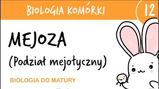 Cytologia 12 - Mejoza podział mejotyczny - biologia rozszerzona przygotowanie do matury z biologii