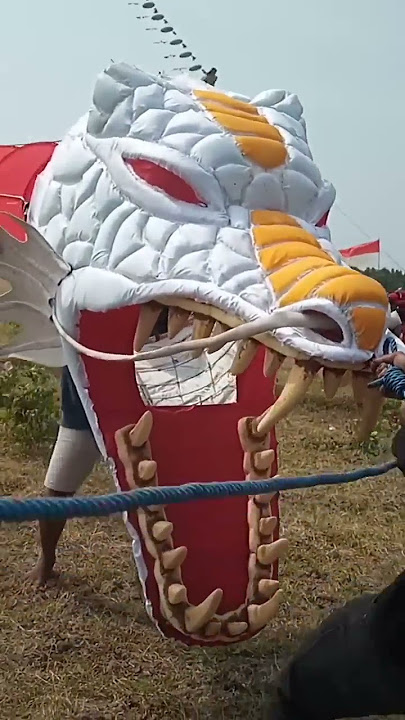 layangan naga big size Blora menyeret joki