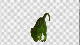Tyrannosaurus Dinosaur Looped 2 | Motion Graphics - Envato elements