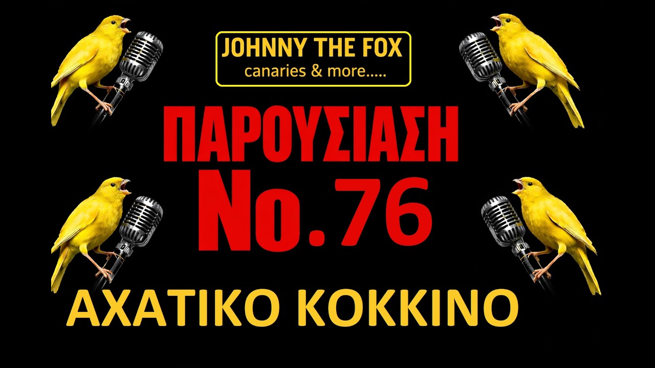 ΑΧΑΤΙΚΟ ΚΟΚΚΙΝΟ ΠΑΡΟΥΣΙΑΣΗ Νο 76