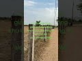 #datbinhthuan #datduanbinhdinh