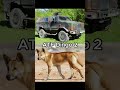 German zoo | Part 4