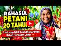 Rahasia Petani 20 Tahun: 3 Hal yang Tidak Boleh Dilewatkan Sebelum Menanam Cabai 🌶️ ala Fatma Nenek