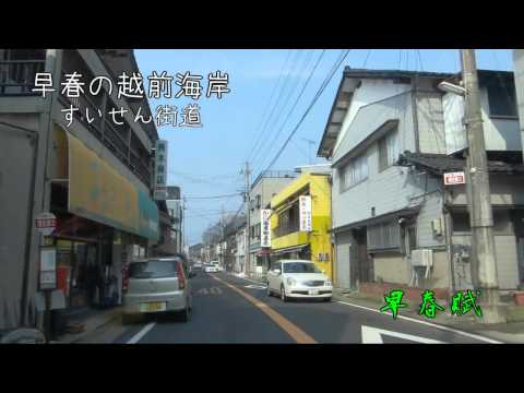 早春賦　早春の越前海岸ドライブ