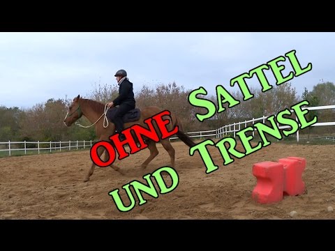 Reiten Ohne Sattel Und Trense Nur Mit Knotenhalfter Serenity Horses Youtube