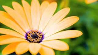 James Blunt - Wise Man Alessandro Raciti 06 Remix