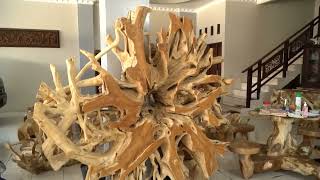 Teak Root Furniture