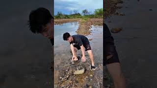 Survival Skills: Useful and Clever #outdoors #survival #campfire #bushcraft