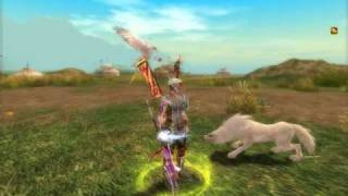 Silkroad Level 40 cap, White Wolf