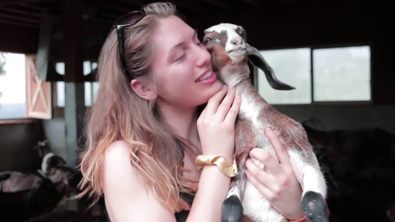 Carmelis Goat Cheese Farm YouTube