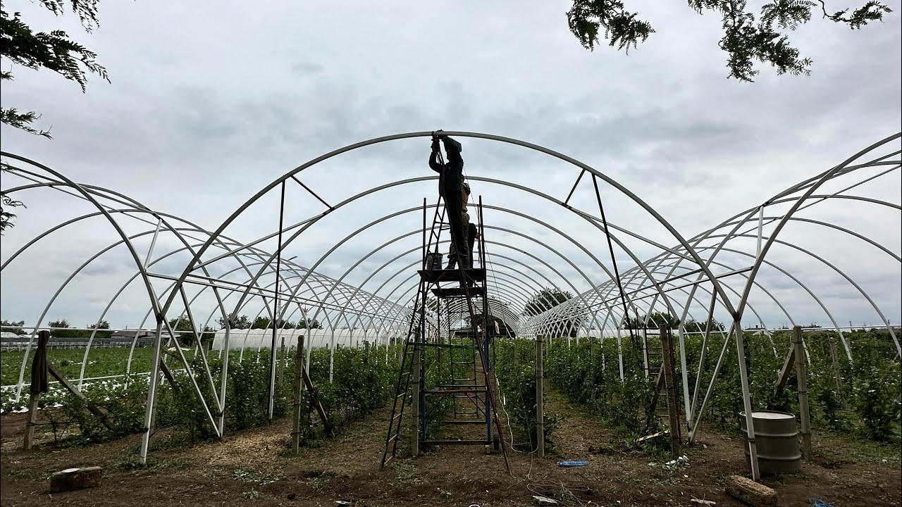 Блочная теплица под кустарники