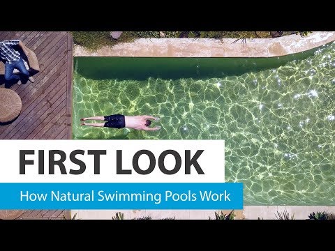 Video: Small Natural Swimming Pool: All You Need To Know