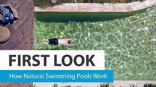 How natural swimming pools work – CHOICE screenshot 5