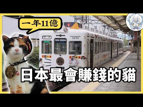 日本最離譜的一條鐵路：讓貓當站長，結果把快廢棄的線路救活了！