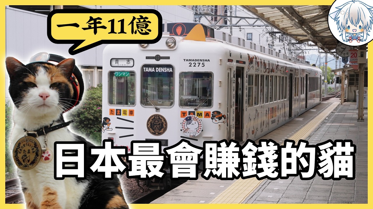 日本最離譜的一條鐵路:讓貓當站長,結果把快廢棄的線路救活了!