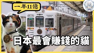 日本最離譜的一條鐵路：讓貓當站長，結果把快廢棄的線路救活了！