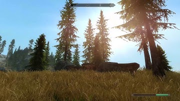 Skyrim Distance Rendering Help