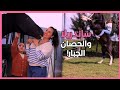 ساندريلا مروضة الحصان الجبار تحكي في أول ظهور لها، قصتها مع الأحصنة العربية الأصيلة والتبوريدة!