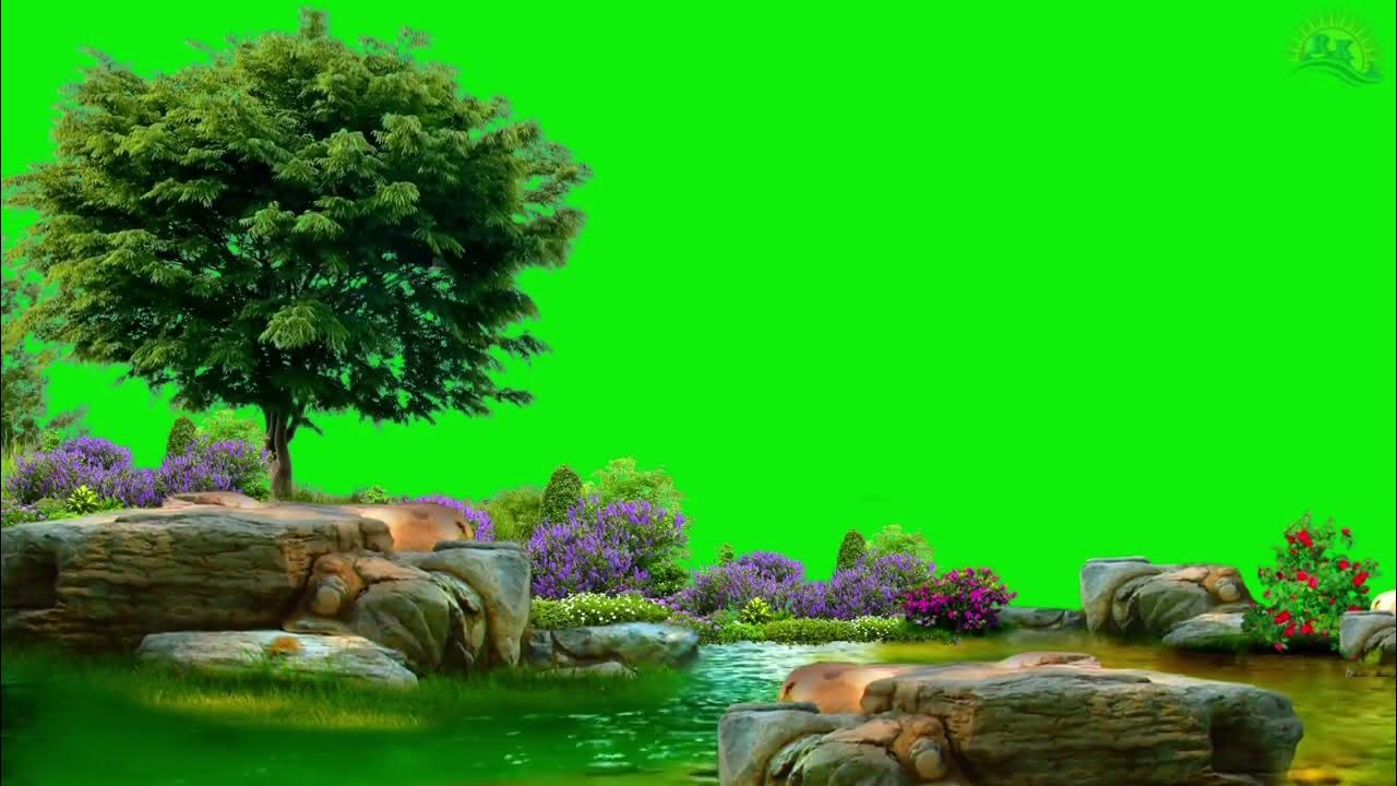 green screen video । green screen background । green screen effect