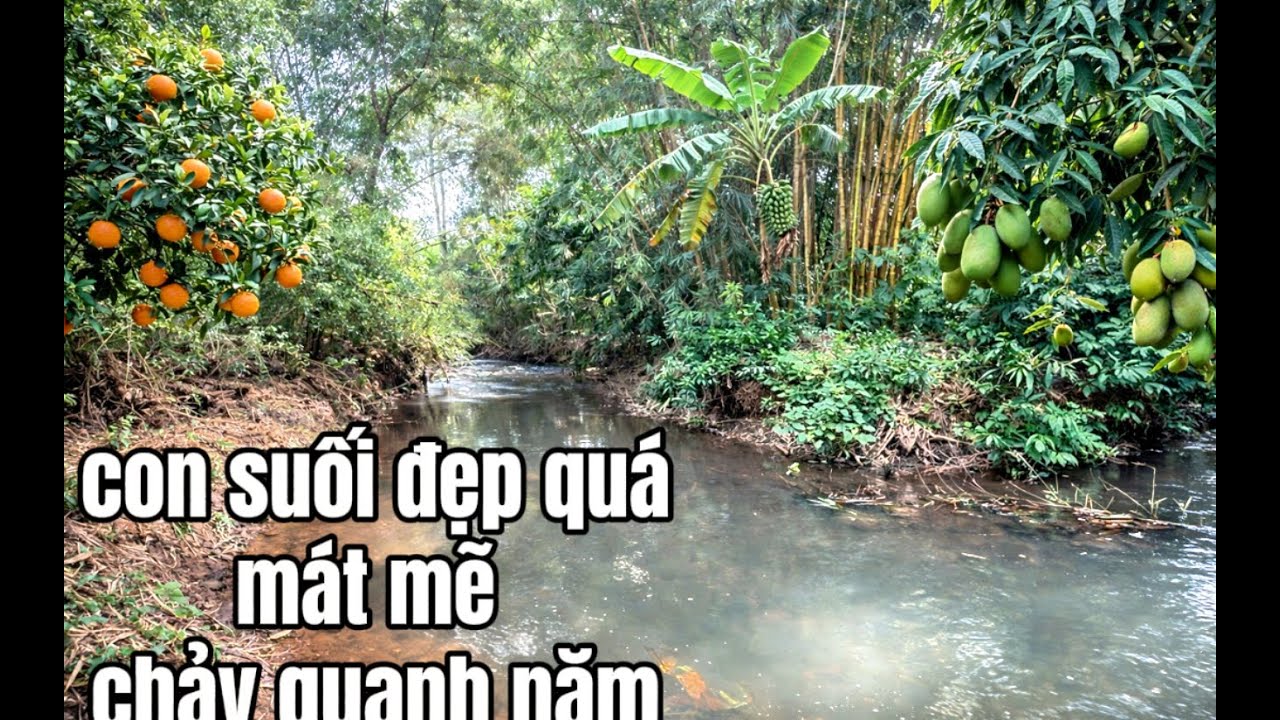 cô chú tuổi cao nhượng lại đất vườn tâm huyết – suối tự nhiên quanh năm, không gian sống an lành