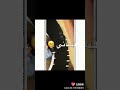 أنك ترجع مش مسموح ابعد عن دربي 