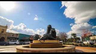 Discover Jacksonville | Start Here  | San Marco