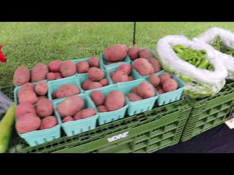 Cherry Hill Food Co-op Promotional Video