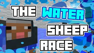 The Water Sheep Race! (Minceraft Marble Race) screenshot 4