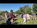 Purple flags to spotlight elder abuse and urge reporting