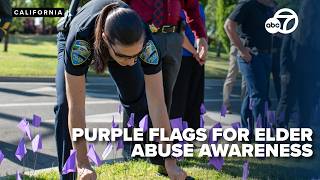 Purple flags to spotlight elder abuse and urge reporting