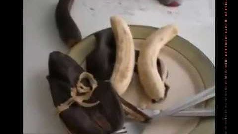 Orgonite - effects of orgon on vegetables, animals and water