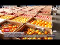 Новини України: що буде із цінами на томати найближчим часом