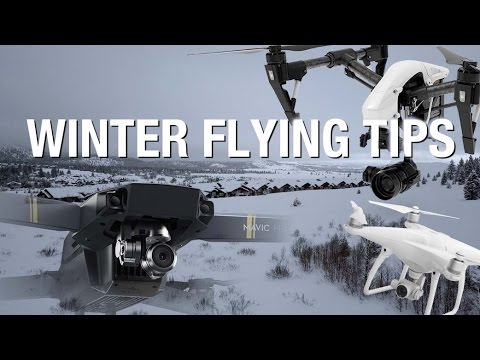 Video: Where To Fly In Winter
