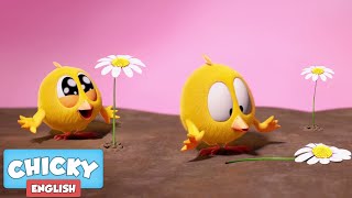 Where S Chicky? Funny Chicky 2021 New 1 Hour Flower Power Chicky Cartoon In English For Kids