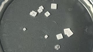 How To Make Table Salt Crystals at Home