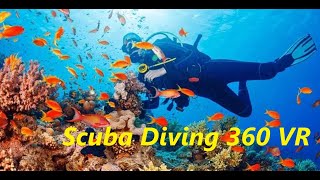 360 Underwater Scuba Dive | Virtual Reality VR Head set |