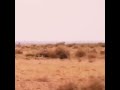 صباح البر 