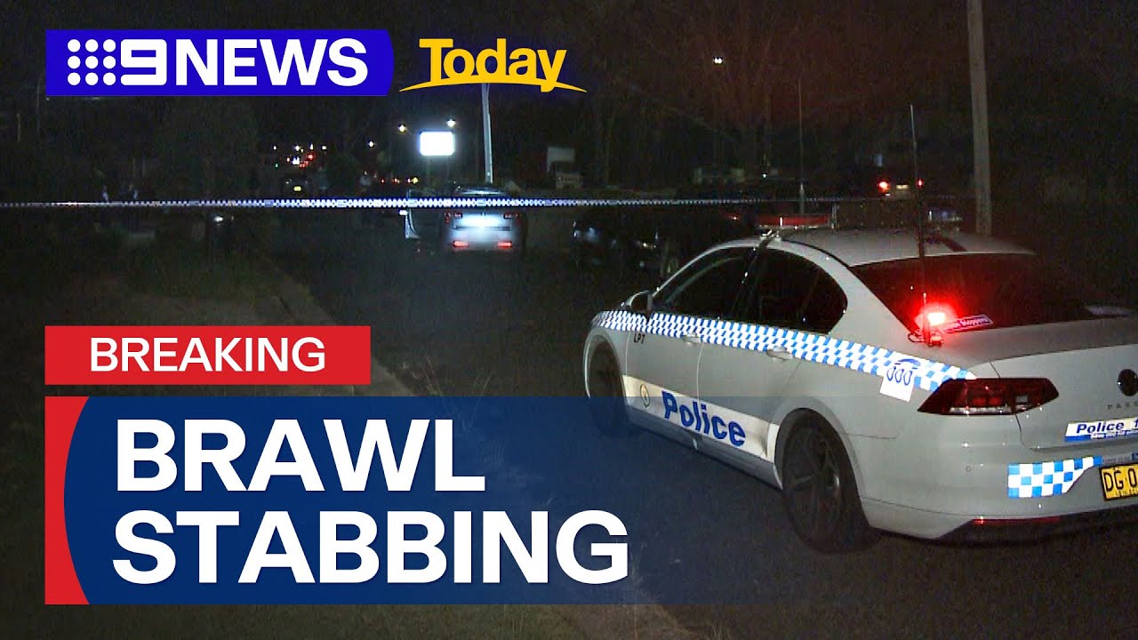 Seven arrested after alleged brawl in western Sydney | 9 News Australia ...