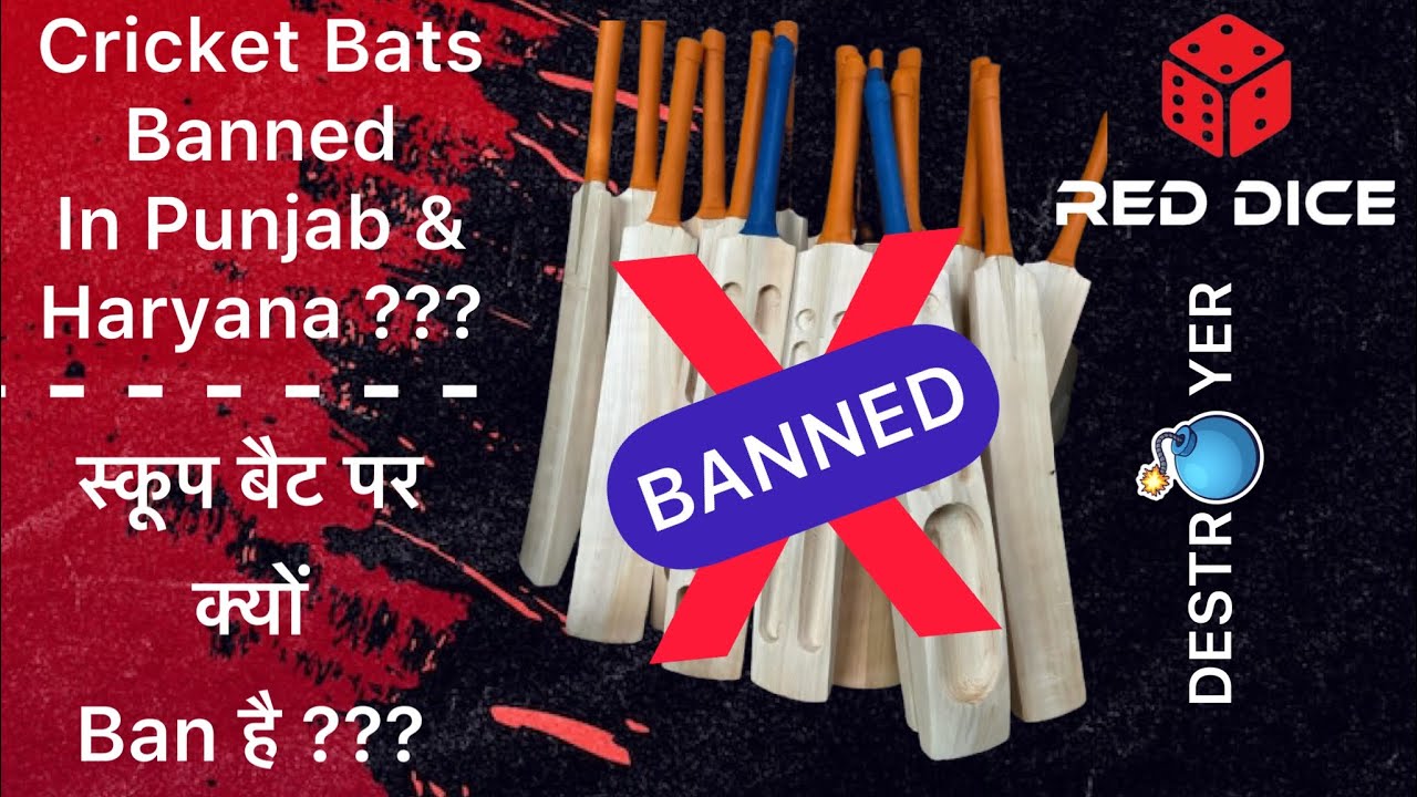 CRICKET BATS BANNED IN PUNJAB & HARYANA !! // स्कूप बैट पर क्यों BAN है