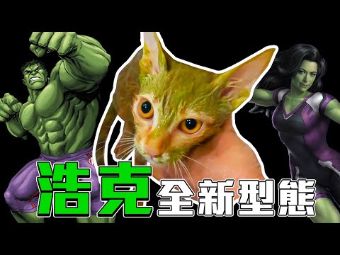 【貓咪日記Ep.5】溫柔小姊姊的細心照護 貓咪也能做SPA 竟然變成了無敵浩克！ 喜寶結紮前舒服的一天｜買電腦找喜天｜