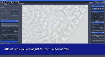 ZEISS ZEN 2.3: Introduction to Definite Focus.2