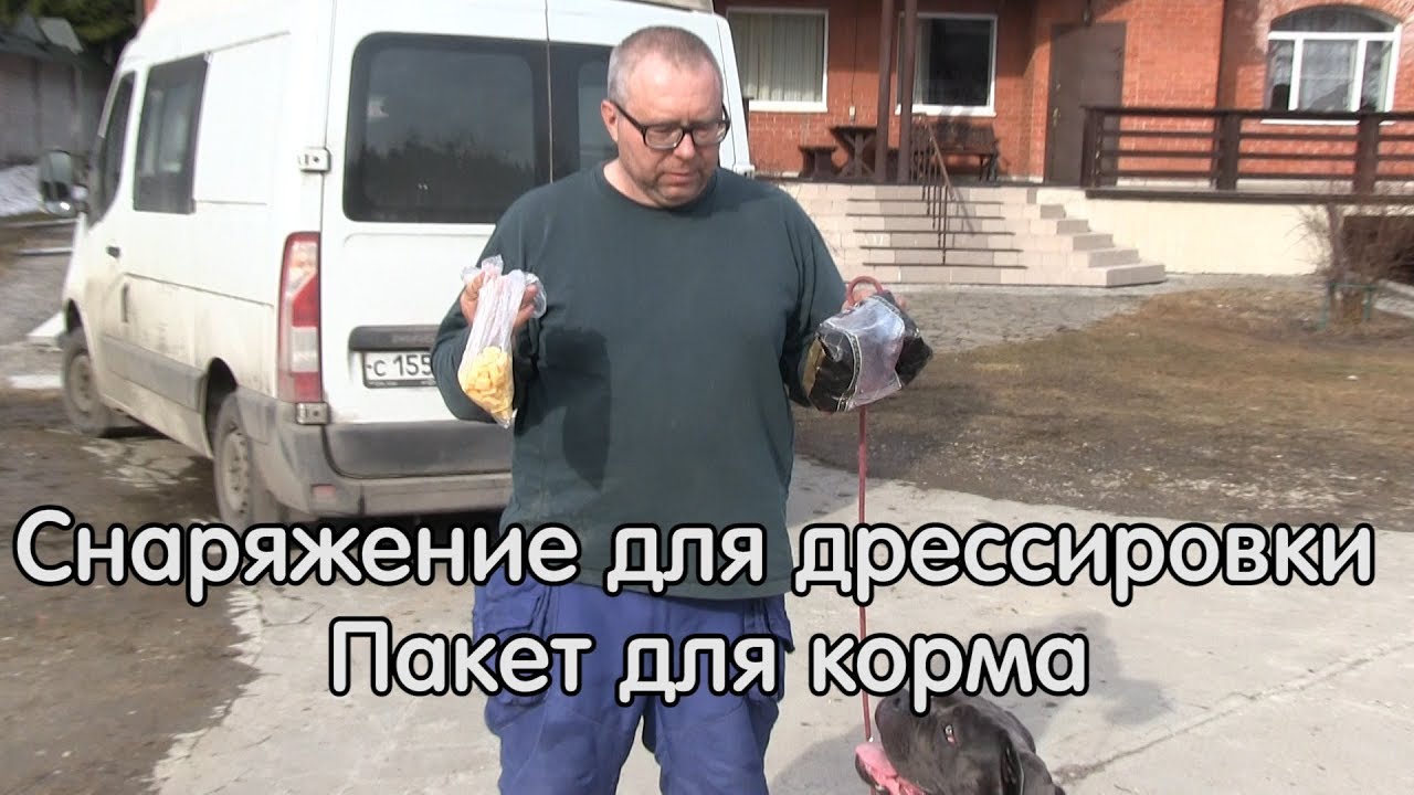 оборудование для дрессировки собак